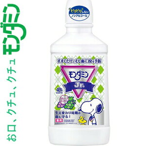 _~ WjA O[v~bNX 600mL 򕔊Oi A[X/VR̃R[eBOZbNƎEېCPC̕\ʂWŃR[g/Ŏ݂݂̂c