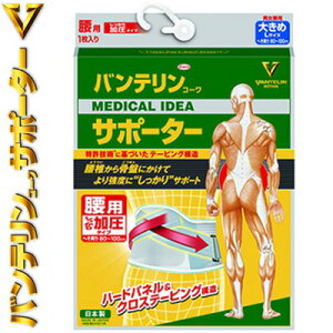 oeR[ T|[^[ ^Cv p u[O[ 傫 LTCY(ւ 80~100cm) 1 aV/̋ȂL΂̂炳/˂ꐧ///⏕/w