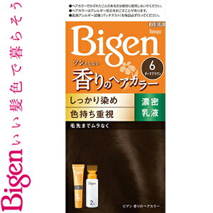 �r�Q�� ����̃w�A�J���[ ���t 6- �_�[�N�u���E�� 40g+60mL ����򕔊O�i �z�[���[ Bigen �w�A�J���[ �������� �����B��