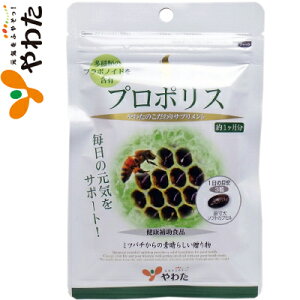 킽 wXT|[g v|X 90 Y/r^~Cer^~/~l/yf/t{mCh/܂/[J/|v/~co`/v|X𑃂ɓhOG̐NGۂ̔