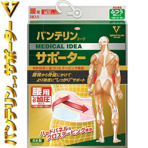 oeR[ T|[^[ ^Cv p pXesN ӂ MTCY(ւ 65cm~85cm) 1 aV/̋ȂL΂̂炳/˂ꐧ///⏕/w