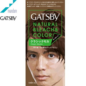 Mcr[ i`u[`J[ NVbNJ 35g+70mL 򕔊Oi }_ GATSBY wAJ[ u[` 