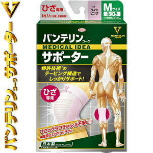 oeR[ T|[^[ Ђ/G CgsN ӂ MTCY/Ђ34`37cm 1 aV/Kȉ艺肪y/e[sO@\ĜMグ悤ɃT|[g/