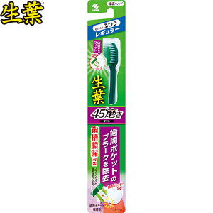 t 45xuV M[wbh ӂ 1{ ѐ t I[PA f^PA uV nuV  ݂