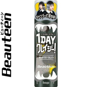 r[eB[ 1DayNCW[ MNV[Vo[ 62g z[[ Beauteen wAJ[  J[O