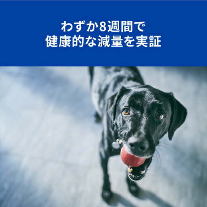 楽天市場】ヒルズ r/d 体重減量 チキン ドライ 犬用