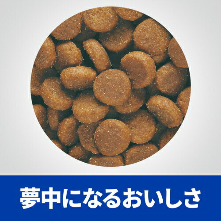 贈物 2袋セット ヒルズ 猫用 Z D 食物アレルギー 皮膚ケア ドライ 2kg Shipsctc Org