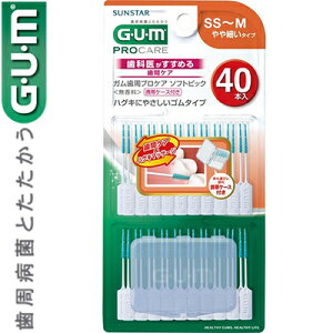 GUM vPA \tgsbN  SS-MTCY 40{ TX^[ K