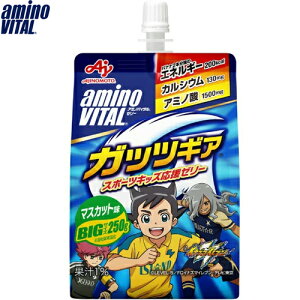 A~moC^[[ KbcMA }XJbg 250g ̑f Amino_Vital Tvg X|[cTv [[ A~m_