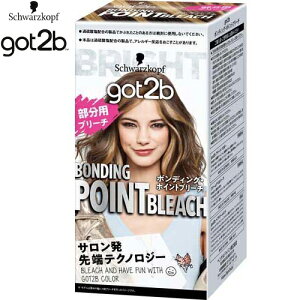 got2b {fBOE|Cgu[` 25g×2+40g+15g×2 򕔊Oi VcRtwP SbgD[r[ wAJ[  J[O