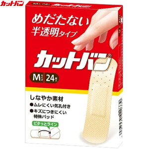 Jbgo MTCY 24 Si Jbgo ~}pi Jnp ΂񂻂 ohGCh ؂菝