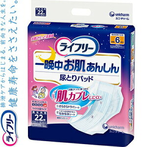 Ct[ Ӓ񂵂AƂpbh pX[p[ jp 6 22 jE`[/Aߋt߂ጸ/K炳/S/AʑՂz/Qp