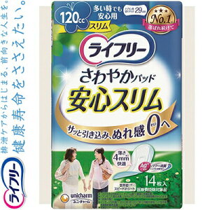 Ct[ ₩pbhSX łSp p 120cc 14 jE`[ Ct[ փpbh zpbh Apbh ivL