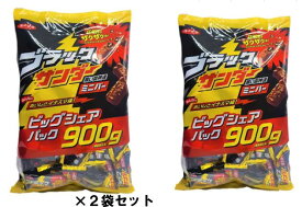 有楽製菓 ブラックサンダー ビッグ シェア パック 900g ×2個 セット コストコ商品 限定 チョコ チョコレート 詰め合わせ アソート おやつ 甘党