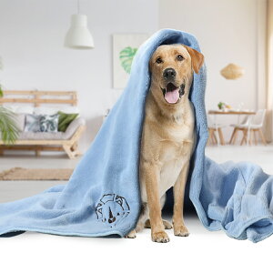 y|Cg10{zybgp^Iyz̓AbvIzp^I z }CNt@Co[ z^I oX^I ̐@^I FI 蕨