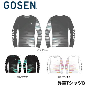 yVi\zy菤izS[Z GOSEN EGA@EFA ؃OTVc B JPT64 oh~gEejXE\tgejX