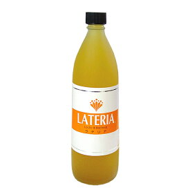 【送料無料】乳酸酵素【ラテリア】900mL　健康飲料