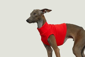 yvemvem FFzEGA C[FeBOJbg bTbh TCY S/M/L/XL/XX C^AO[nEhEEBybgp COAi C^O  yybgzyEFAz