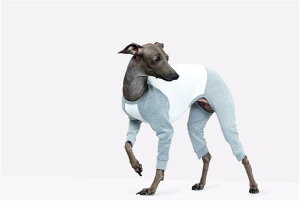 yvemvem FFzTVc oG Xq[g OTVc O[ C^AO[nEhEEBybgp COAi C^O  yybgzyEFAzy݌ɌŏI