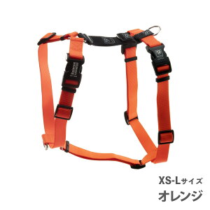 n[lX  oXn[lX XS-LTCY S9F Blue-9 KAi