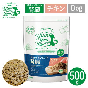 y|Cg10{Izp t[h  YumYumYum! N}lWgt `L hC^Cv ^Cv 500g Y HÖ@H yybgzyybgt[hz