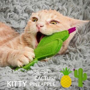 yMODERNBEAST _r[XgzKITTY CACTUS^PINEAPPLE LeB T{e^pCibv LbggC }^^r Lp K戵X