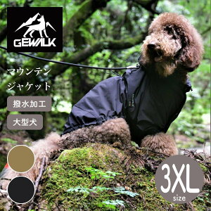 yGEWALK WEH[Nz}Ee WPbg 3XL H hbOEFAyybgzyAEghAz