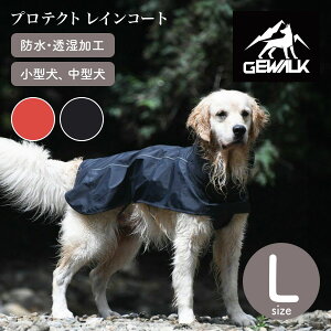 yGEWALK WEH[NzveNg CR[g L h   hbOEFAyybgzyAEghAz