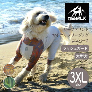 yGEWALK WEH[Nzy2025Nfz[tvg }CiX t[WO p[X 3XLTCY IW,O[ ⊴ bVK[h hbOEFAyybgzyAEghAzyTCY