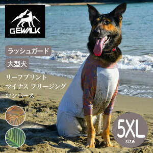 yGEWALK WEH[Nzy2025Nfz[tvg }CiX t[WO p[X 5XLTCY IW,O[ ⊴ bVK[h hbOEFAyybgzyAEghAzyTCY