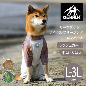 yGEWALK WEH[Nzy2025Nfz[tvg }CiX t[WO p[X L,2L,3LTCY IW,O[ ⊴ bVK[h hbOEFAyybgzyAEghAzyTC