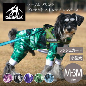 yGEWALK WEH[Nzy2025Nfz}[u vg veNg Xgb` p[X M,2M,3MTCY ^ bVK[h hbOEFAyybgzyAEghAzyTCYΉz