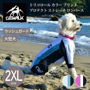 yGEWALK WEH[Nzy2025NfzgR[ J[ vg veNg Xgb` p[X 2XLTCY ^ bVK[h hbOEFAyybgzyAEghAzyTCY