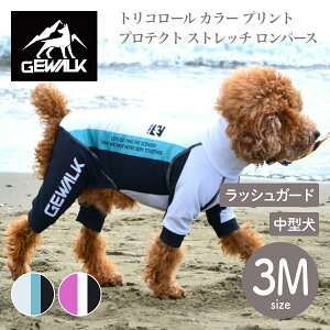 yGEWALK WEH[Nzy2025NfzgR[ J[ vg veNg Xgb` p[X 3MTCY ^ bVK[h hbOEFAyybgzyAEghAzyTCY