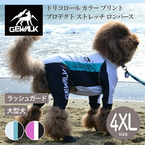 yGEWALK WEH[Nzy2025NfzgR[ J[ vg veNg Xgb` p[X 4XLTCY ^ bVK[h hbOEFAyybgzyAEghAzyTCY