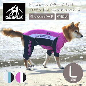 yGEWALK WEH[Nzy2025NfzgR[ J[ vg veNg Xgb` p[X LTCY ^ bVK[h hbOEFAyybgzyAEghAzyTCY