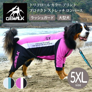 yGEWALK WEH[Nzy2025NfzgR[ J[ vg veNg Xgb` p[X 5XLTCY ^ bVK[h hbOEFAyybgzyAEghAzyTCY