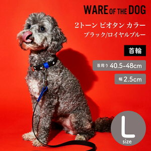 yWARE OF THE DOG EFAIuUhbOz2g[ rI^ J[ ubN/Cu[ LTCY  J[ EFA Iu U hbO AJ K戵XyybgzyUObYz