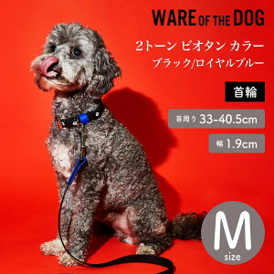 yWARE OF THE DOG EFAIuUhbOz2g[ rI^ J[ ubN/Cu[ MTCY  J[ EFA Iu U hbO AJ K戵XyybgzyUObYz