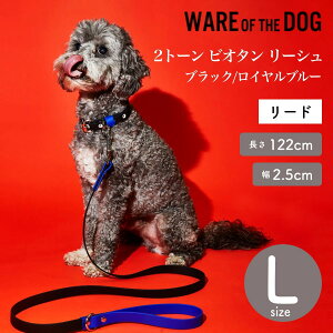 yWARE OF THE DOG EFAIuUhbOz2g[ rI^ [V ubN/Cu[ LTCY [h [V EFA Iu U hbO AJ K戵XyybgzyUObYz