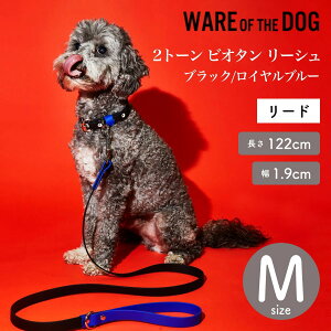yWARE OF THE DOG EFAIuUhbOz2g[ rI^ [V ubN/Cu[ MTCY [h [V EFA Iu U hbO AJ K戵XyybgzyUObYz