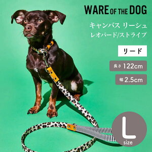 yWARE OF THE DOG EFAIuUhbOzLoX [V Ip[h/XgCv LTCY [h [V EFA Iu U hbO AJ K戵XyybgzyUObYz