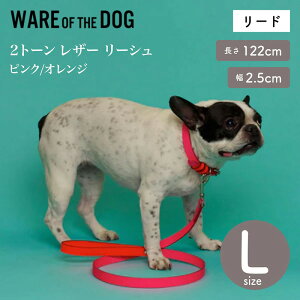 yWARE OF THE DOG EFAIuUhbOz2g[ U[ [V sN/IW LTCY [h [V EFA Iu U hbO AJ K戵XyybgzyUObYz