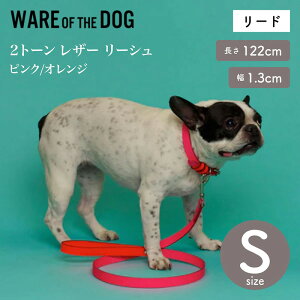 yWARE OF THE DOG EFAIuUhbOz2g[ U[ [V sN/IW STCY [h [V EFA Iu U hbO AJ K戵XyybgzyUObYz