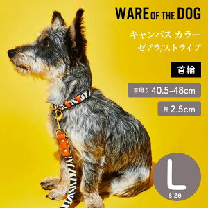 yWARE OF THE DOG EFAIuUhbOzLoX J[ [u/XgCv LTCY  J[ EFA Iu U hbO AJ K戵XyybgzyUObYz