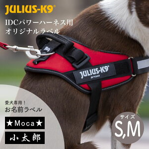 yJulius-K9 EXP[iCzIDCp[n[lXp IWix S/M ubNyybgzyUObYzy`OX֑Ήzy񂹕iz