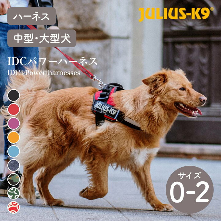 楽天市場】【Julius-K9 ユリウスケーナイン】IDCパワーハーネス IDC 
