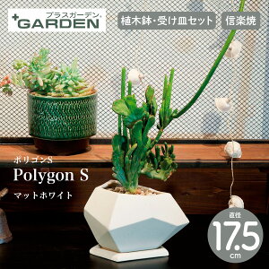 yPLUS GARDEN vXK[fzPolygon S |SS a17.5cm }bgzCg Aؔ MZbg v^[yMyāzyK[fjOzyO[zyz