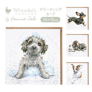 yWrendale Designs f[ fUCzO[eBOJ[h p  _bNXtg WbNbZeA XpjG uh[go[y|XgJ[hzy킢zyMtg