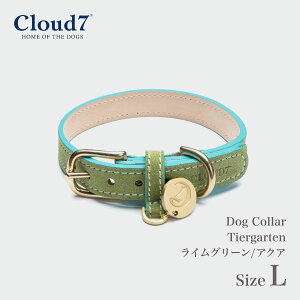 yCloud7 NEhZuzhbOJ[ eB[AKe CO[/ANA LTCY Dog Collar Tiergarten Lime Green/Aqua pJ[  v U[ NEh7 COA